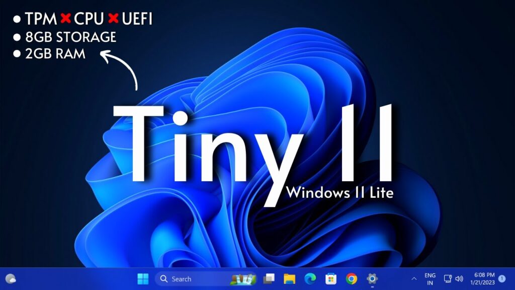 tiny11