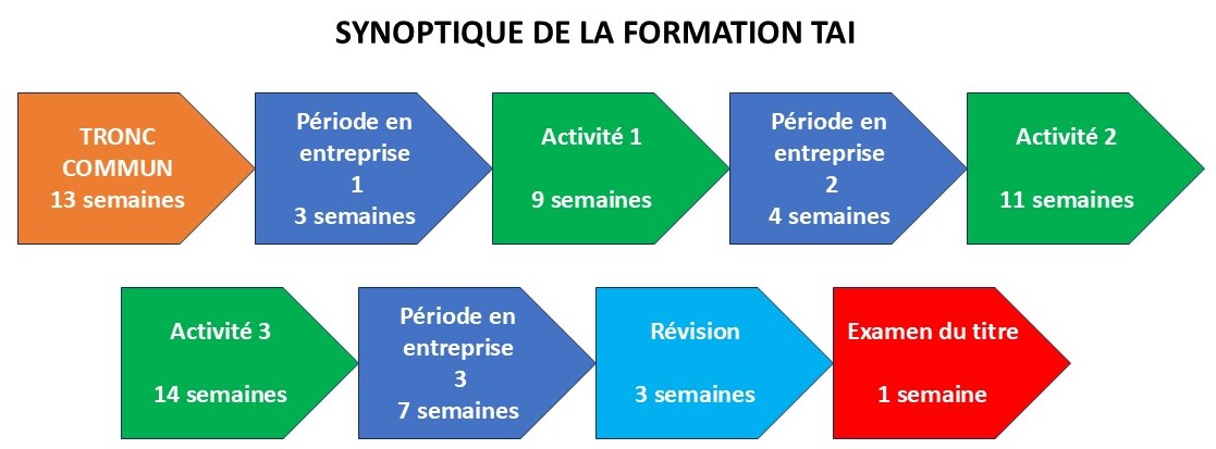 Synoptique de la formation TAI